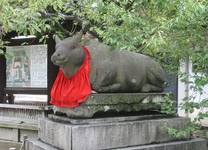 画像 011