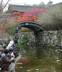 画像 038